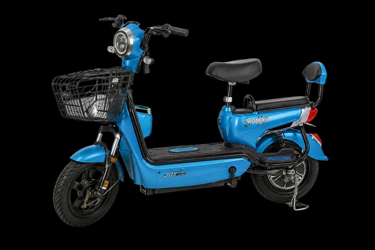 Joy e-Bike Honeybee