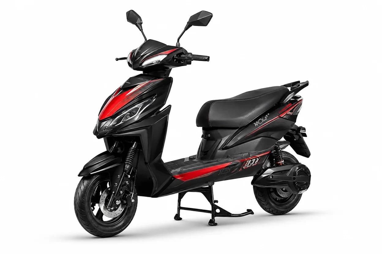 Joy e-Bike Wolf